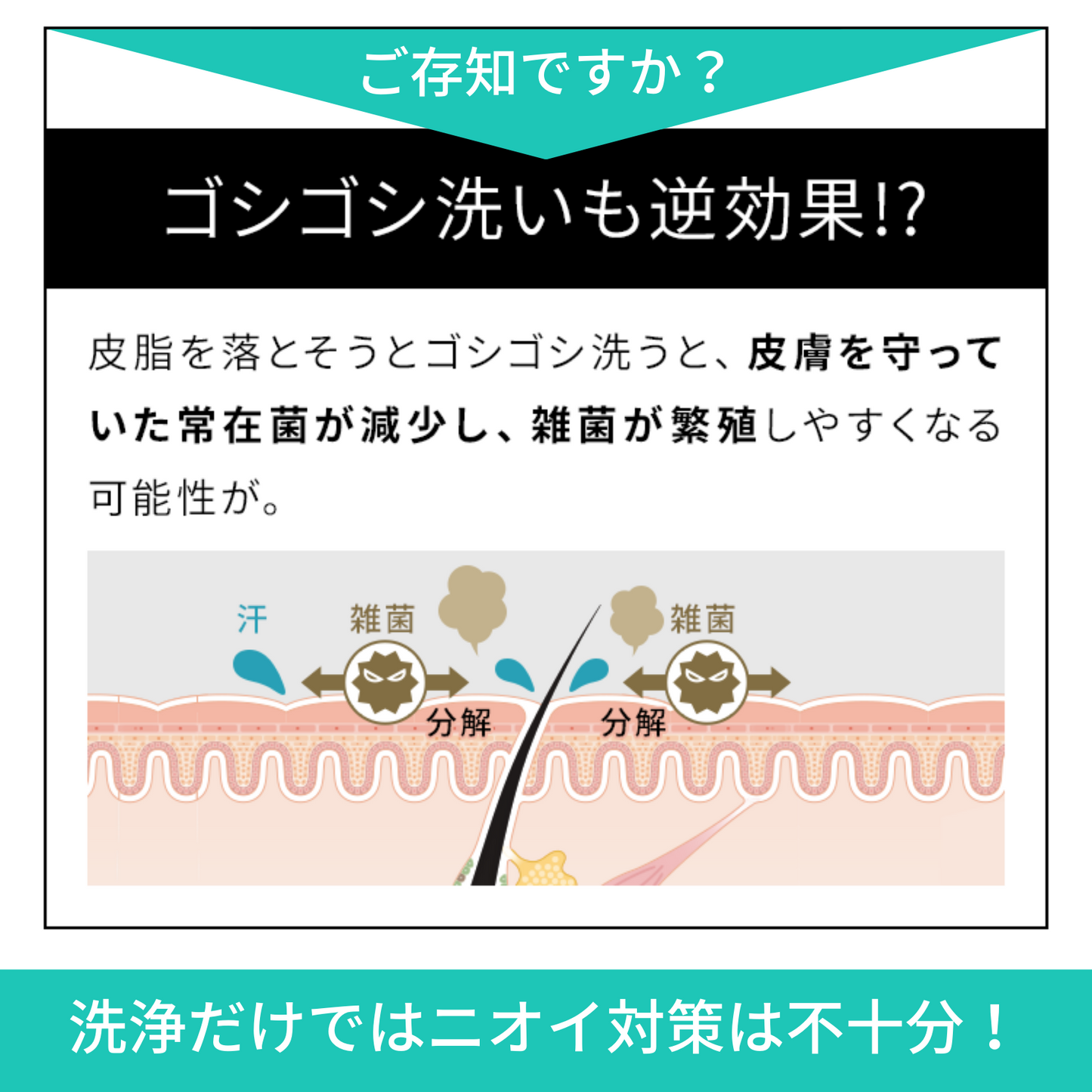 ★公式特典：送料無料★Thundyy Perfume Balm（サンディー パフュームバーム）【単品】